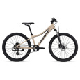 XtC Jr Disc 24 Faded Beige M24