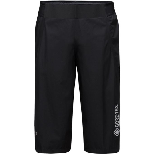 GORE Endure Shorts black 